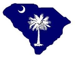 Blue outline of the state of South Carolina with a while palmetto tree in the center